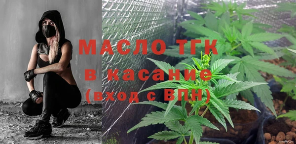 тгк Новозыбков