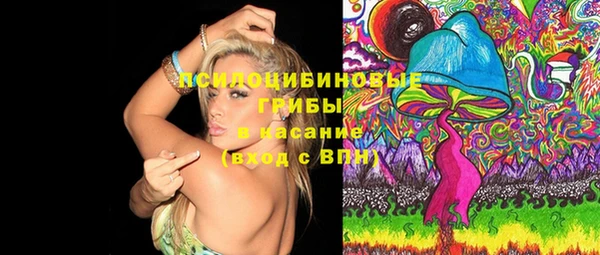 тгк Новозыбков