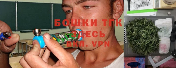 тгк Новозыбков