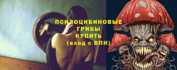 тгк Новозыбков