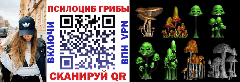 наркошоп  Западная Двина  Псилоцибиновые грибы MAGIC MUSHROOMS 